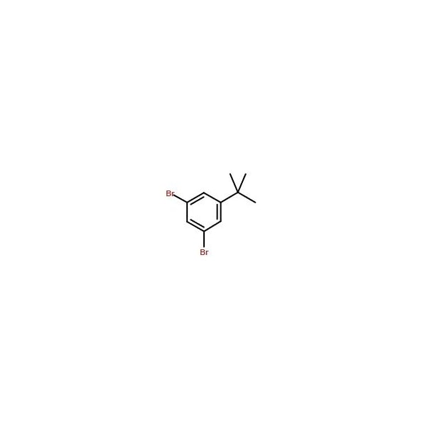 Ak Scientific 1, 3-Dibromo-5-(tert-butyl)benzene (100g), CAS 129316-09-2 X6469-100g - main
