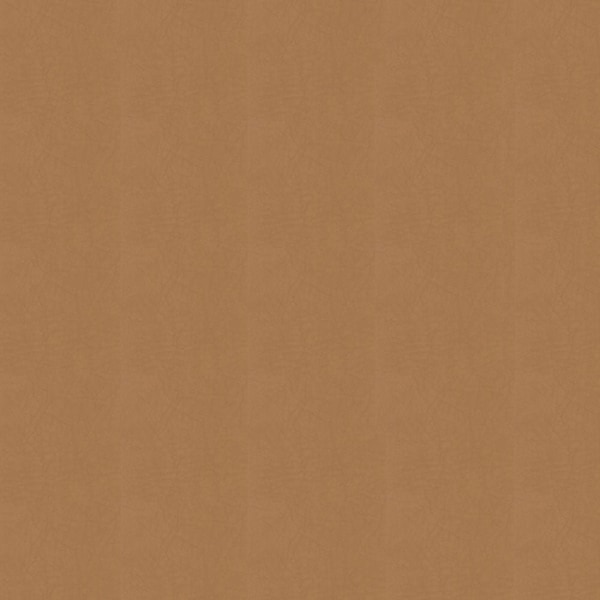 Abbeyshea Whisper, PVC Coated Faux Leather, Contract Grade, Upholstery Fabric, Cognac Samples WHISPWHI2142M9X9 - main