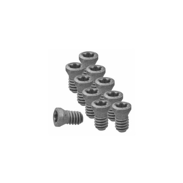 Garant Set of Insert Screws, 10 Pieces 219828 - main