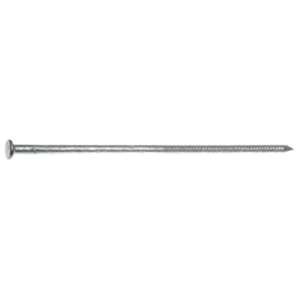 Maze Nails H526A 50 lbs. 20D Ring Shank Polebarn Nail 288483 - main