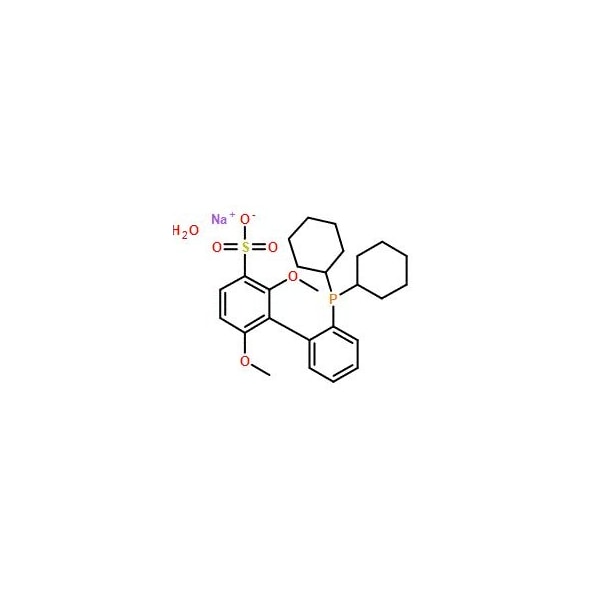 Ak Scientific sSPhos (1g), CAS 1049726-96-6 1097AA-1g - main