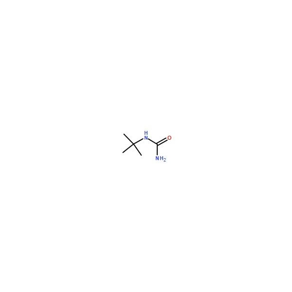 Ak Scientific tert-butylurea (250mg), CAS 1118-12-3 7334AF-250mg - main