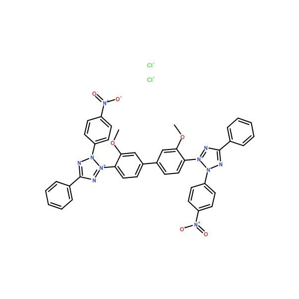 Ak Scientific Nitrotetrazolium Blue chloride (1g), CAS 298-83-9 7094AF-1g - main