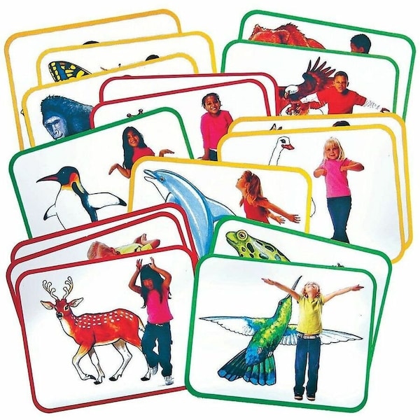 Roylco Body Poetry: Animal Action Cards 62010 - main