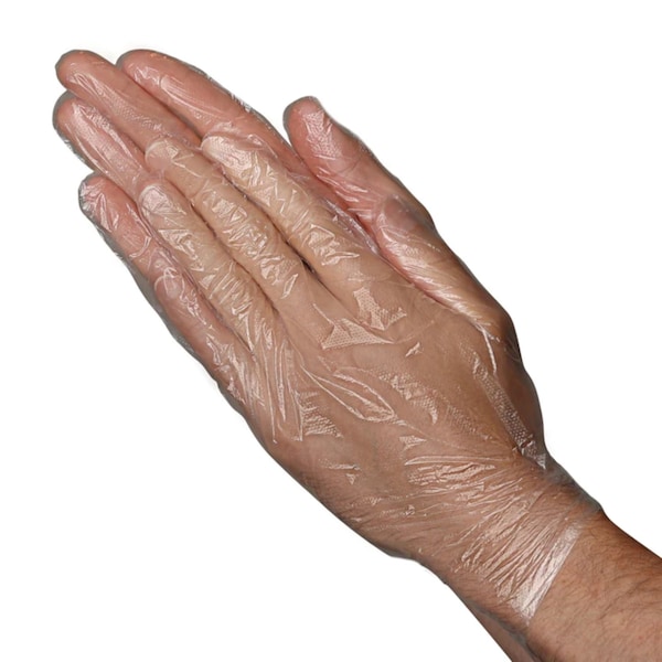 Vanguard VGuard Clear Polyethylene Glove, PF, 0.5 Mil, Medium, 1000PK A43M12 - main