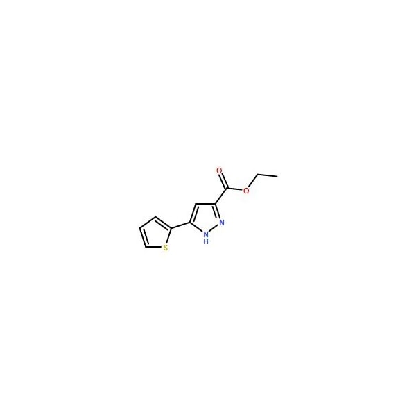 Ak Scientific Ethyl 5-thien-2-yl-1H-pyrazole-3-carboxylate (1g), CAS 121195-03-7 X9479-1g - main