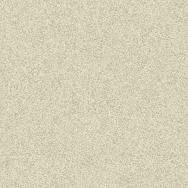 Abbeyshea Bone, Polyurethane Coated Faux Leather Fabric, 1 Yard L, 54 in W BALDW600 - main