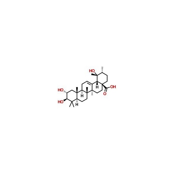 Ak Scientific Tormentic acid (5mg), CAS 13850-16-3 W2592-5mg - main