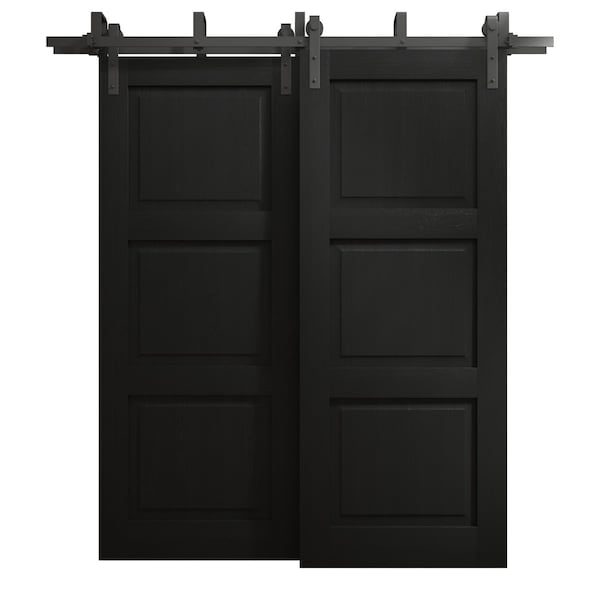 Sartodoors Sliding Closet Barn Bypass Doors 60 x 80 inches, Ego 5010 Painted Black Oak, Modern 6.6ft Rails Ha EGO5010BBB-CHK-60 - main
