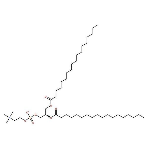 Ak Scientific 1, 2-Distearoyl-sn-glycero-3-phosphocholine (1g), CAS 816-94-4 2661AC-1g - main