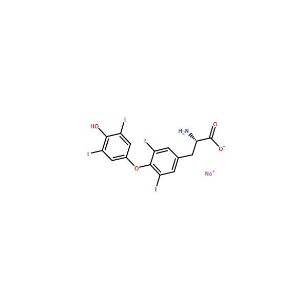 Ak Scientific Levothyroxine sodium (5g), CAS 55-03-8 6260AF-5g - main