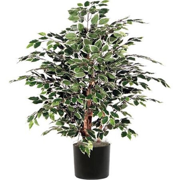 Dare2Decor 4 ft. Green Mini Ficus Extra Full in Plastic Pot DA2676002 - main