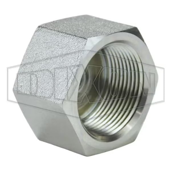 Dixon Hex Cap, 1-1/4-11-1/2 Nominal, FNPT, Steel, Domestic 5406C-20 - main