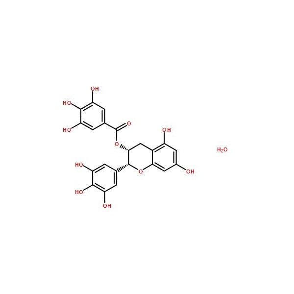 Ak Scientific (-)-Epigallocatechin gallate hydrate (100mg), CAS 989-51-5 K791-100mg - main
