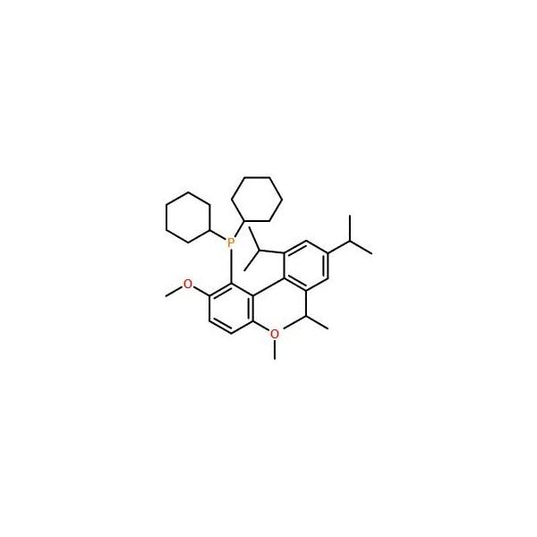 Ak Scientific BrettPhos (25g), CAS 1070663-78-3 X7077-25g - main