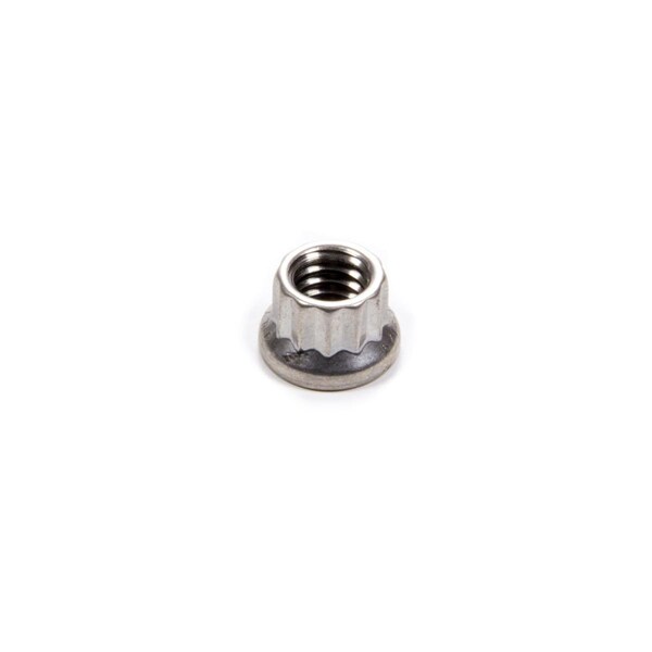 Whole-In-One 401-8303 Stainless Steel 12 Point Nut - 0.3125-18 in. WH1391769 - main