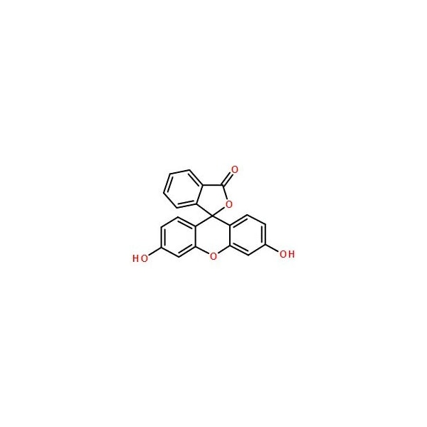 Ak Scientific Fluorescein (25g), CAS 2321-07-5 U832-25g - main