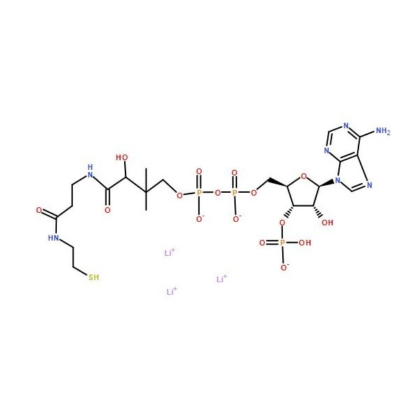 Ak Scientific Coenzyme A trilithium salt (1g), CAS 18439-24-2 6547AH-1g - main