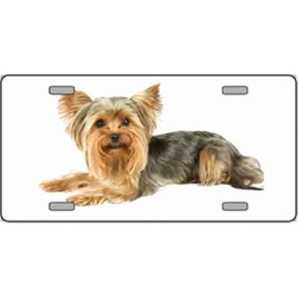 Powerhouse Yorkshire Terrier Dog Pet Novelty License Plates- Full Color Photography License Plates PO2653167 - main