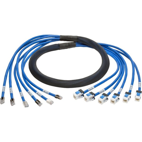 Eaton Tripp Lite Series Cat6a 10G Pre-Terminated Copper Trunk Assembly 6x RJ45 M/F, Blue, 6 ft. N261-006-6MF-BL - main