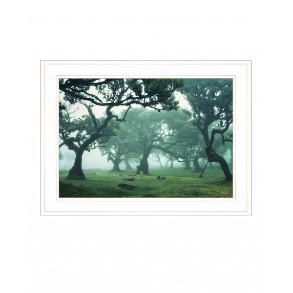 Homeroots Enchanted Forest II 2 White Framed Print Wall Art 407842 - main