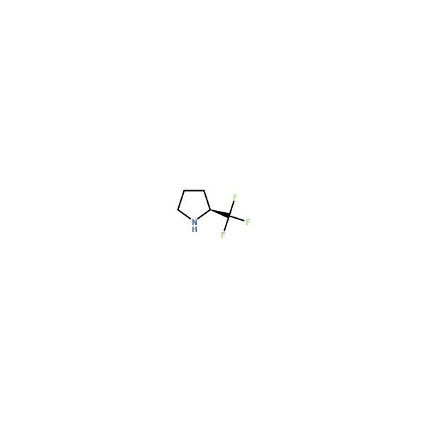 Ak Scientific (S)-2-(Trifluoromethyl)pyrrolidine (5g), CAS 119580-41-5 3354AA-5g - main