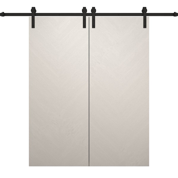 Sartodoors Modern Double Barn Door 48 x 80 inches, Ego 5005 Painted White Oak, 13FT Rail Track Set, Solid Pa EGO5005DB-PWO-48 - main