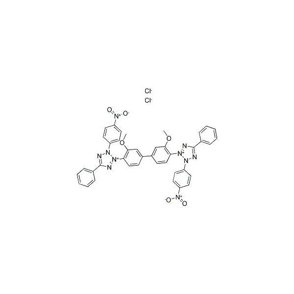 Ak Scientific Nitro blue tetrazolium chloride (5g), CAS 298-83-9 M768-5g - main