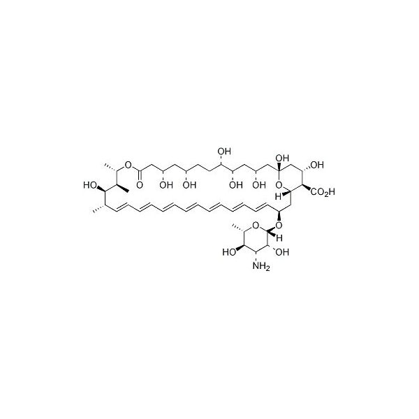 Ak Scientific Amphotericin B, ≥750µg/mg (1g), CAS 1397-89-3 L970-1g - main