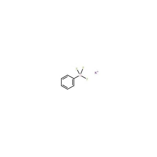 Ak Scientific Potassium phenyltrifluoroborate (100g), CAS 153766-81-5 Y1112-100g - main