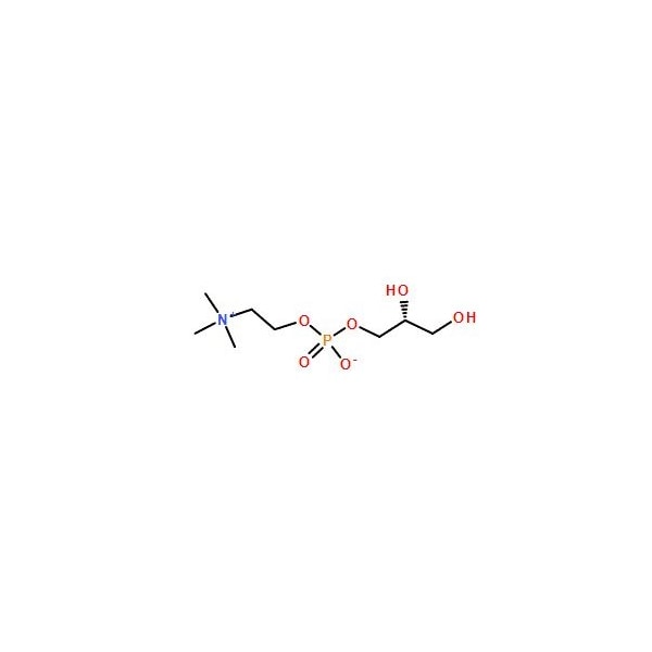 Ak Scientific Choline alfoscerate (500g), CAS 28319-77-9 O174-500g - main