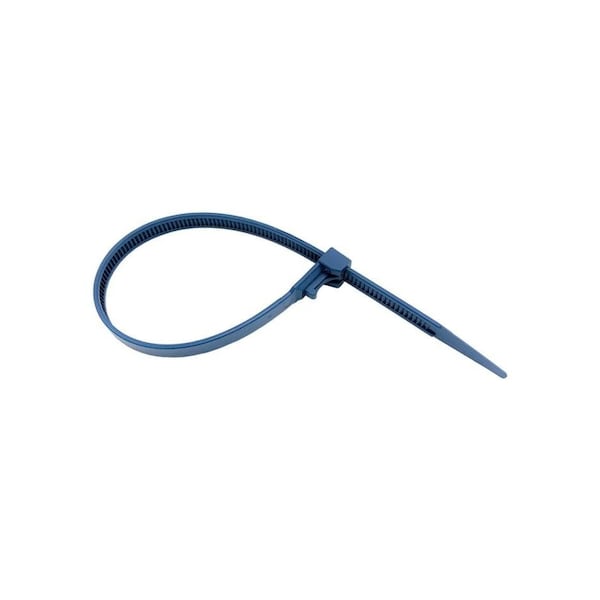 Detectamet Cable Ties, 250 mm L, Blue, Nylon, 100 PK 800-CT02-1231-X11 - main