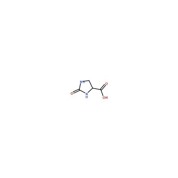 Ak Scientific 2-Oxoimidazolidine-4-carboxylic acid (2g), CAS 21277-16-7 5596AJ-2g - main