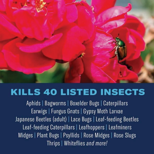 Bioadvanced Dual Action 24 Oz. Ready To Use Trigger Spray Rose & Flower Insect Killer 502570B - main