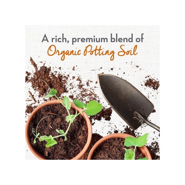 n　oganic Black Zunnies - Rectangle Wrap-Around Sunglasses #1010121