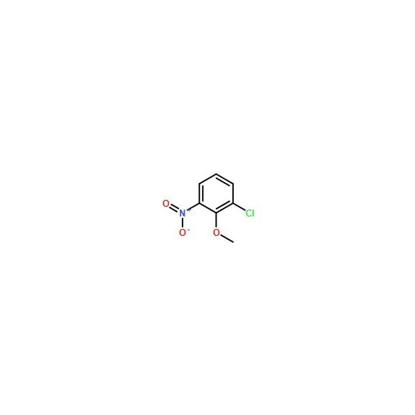 Ak Scientific 2-Chloro-6-nitroanisole (25g), CAS 80866-77-9 V7835-25g - main