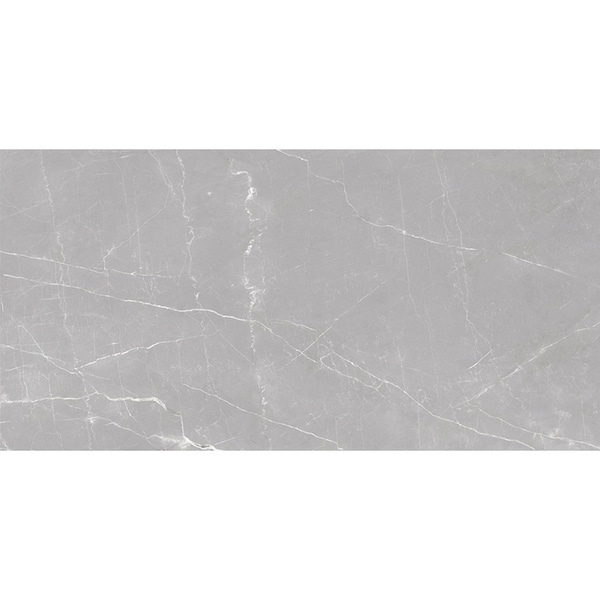 Apollo Tile Regalia 24x48 in. Ash Gray Matte Porcelain Marble-look Vein Large Tile (15.5 sq ft/case) 2PK APLVEL88CEN2448 - main
