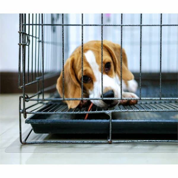 Floortex P-Tex Polycarbonate Dog Crate Floor Protector - 35" x 47" FCCAGE89ER - main