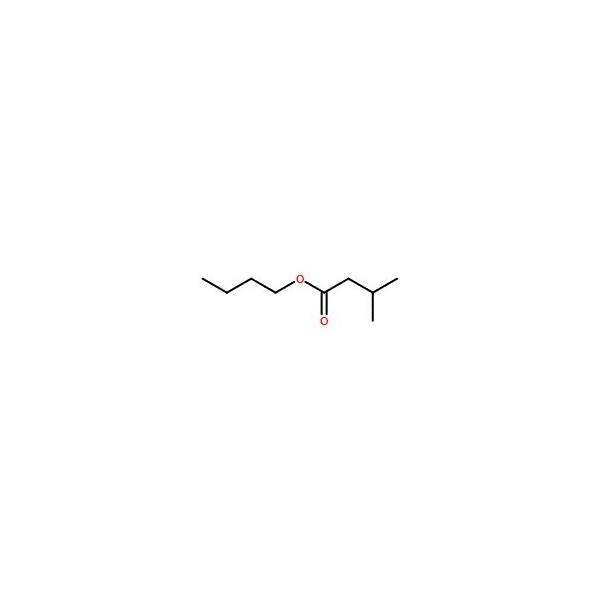 Ak Scientific Butyl 3-methylbutanoate (100mL), CAS 109-19-3 1790AA-100mL - main