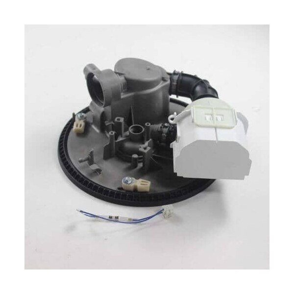Whirlpool PUMP & MOTOR W10168823 - main