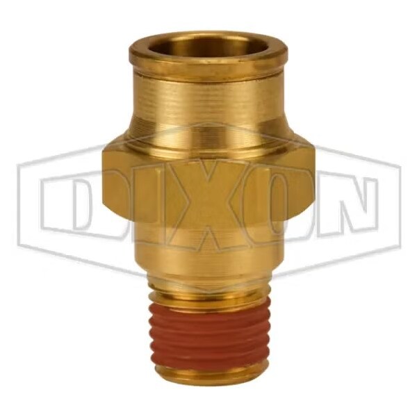 Dixon Legris by Push-In Connector, 1/4 x 1/2 in Nominal, MNPT x Tube, Brass, Domestic 6816X8 - main