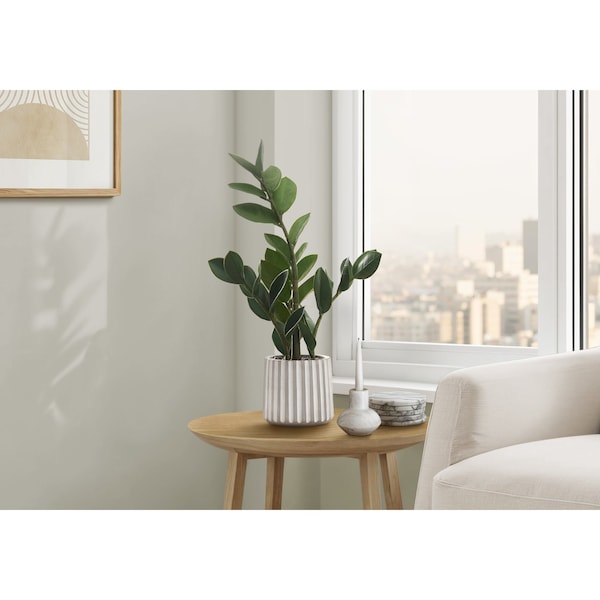 Monarch Specialties Artificial Plant, 20" Tall, Zz, Indoor, Faux, Fake, Table, Greenery, Potted, Real Touch, Decorative I 9500 - main