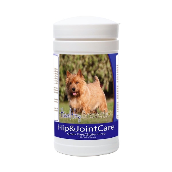 Pamperedpets Norwich Terrier Hip and Joint Care PA3495365 - main