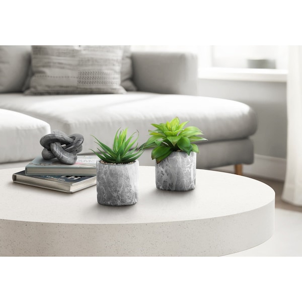 Monarch Specialties Artificial Plant 6" Tall Succulent, Indoor, Faux, Fake, Table, Greenery, Potted Set Of 2, Decorative I 9586 - main