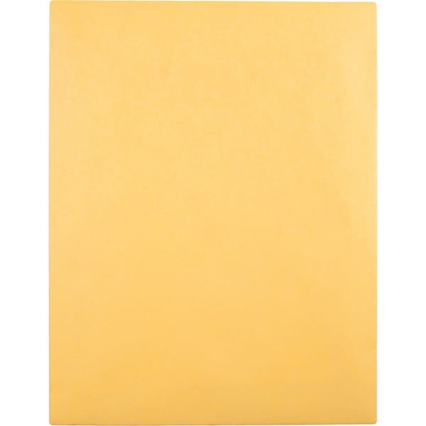 Quality Park Catalog Envelope, Lt Brown, Kraft, PK100 QUA43768 - main