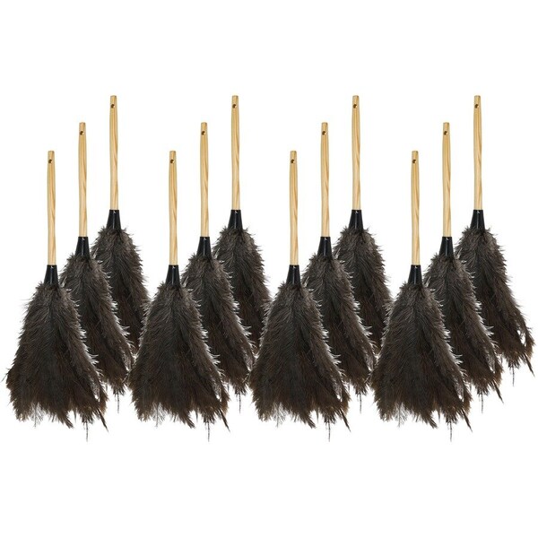Genuine Joe Feather Duster, 12PK GJO90118CT - main
