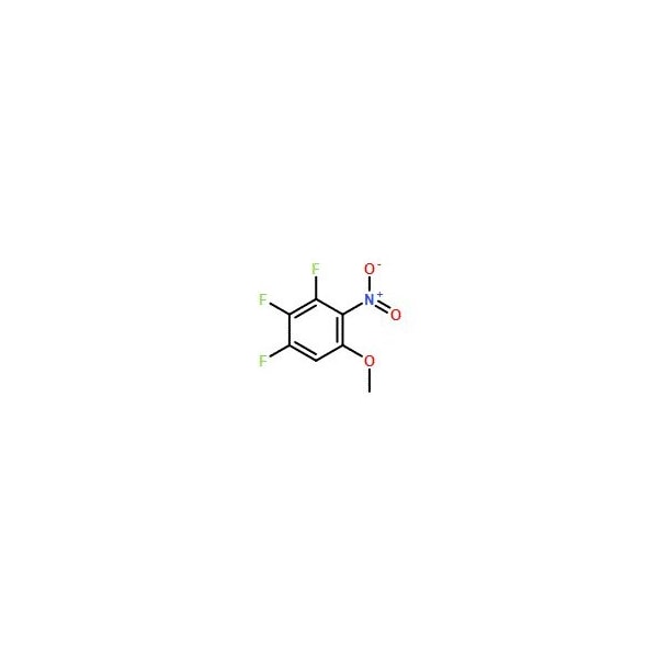 Ak Scientific 1, 2, 3-Trifluoro-5-methoxy-4-nitrobenzene (1g), CAS 925890-13-7 W9551-1g - main