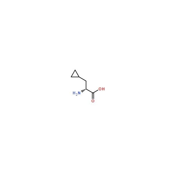 Ak Scientific D-Cyclopropylalanine (10g), CAS 121786-39-8 Q853-10g - main