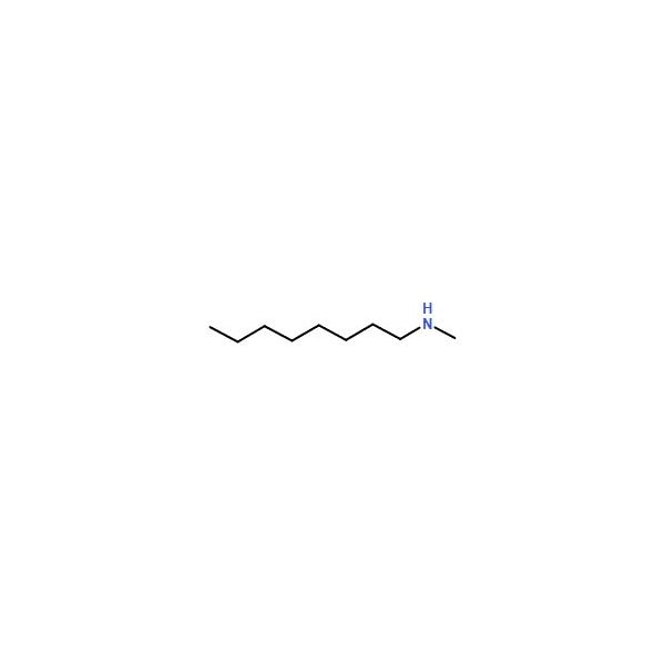 Ak Scientific N-Methyloctan-1-amine (25g), CAS 2439-54-5 Z4479-25g - main