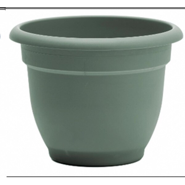Bloem Ariana 5.25 in. H X 6.5 in. W X 6 in. D Plastic Traditional Planter Living Green AP0641 - main